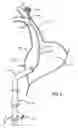 Fig. 09 - Electrical Block Positioning Devices And Methods Of Use therefor