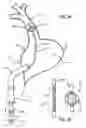 Fig. 10 - Electrical Block Positioning Devices And Methods Of Use therefor