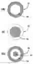 Fig. 01 - Composite spinal fixation systems
