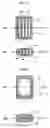 Fig. 03 - Composite spinal fixation systems