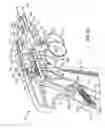 Fig. 09 - Disc annulus repair system
