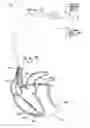 Fig. 08 - System and method for detecting hypoglycemia based on a paced depolarization integral using an implantable medical device