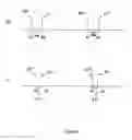 Fig. 26 - Multi-site PESP with fusion pacing