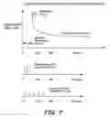 Fig. 09 - System for enhanced cardiac function with combined PESP/NES