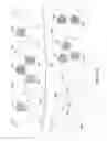Fig. 04 - Cardiac signal template generation using waveform clustering