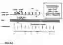 Fig. 06 - Electrical stimulation of the gastrointestinal tract to regulate motility