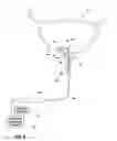 Fig. 07 - Multi-tube sensor for sensing urinary sphincter and urethral pressure
