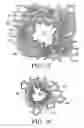 Fig. 03 - Control system and process for application of energy to airway walls and other mediums