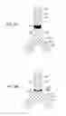 Fig. 13 - Methods and apparatus for treatment of aneurysms adjacent branch arteries