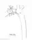 Fig. 31 - Branched vessel endoluminal device with fenestration