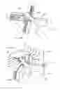 Fig. 59 - Systems and methods for augmenting intervertebral discs