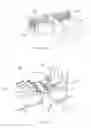 Fig. 60 - Systems and methods for augmenting intervertebral discs
