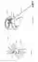 Fig. 83 - Systems and methods for augmenting intervertebral discs