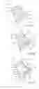 Fig. 06 - Lung assist apparatus and methods for use