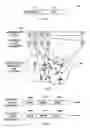 Fig. 04 - Information encoding and decoding