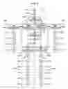 Fig. 07 - Robot apparatus, information processing method and program