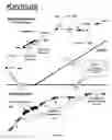 Fig. 23 - Data-driven traffic views with the view based on a user-selected object of interest