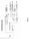 Fig. 44 - Data-driven traffic views with the view based on a user-selected object of interest