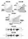 Fig. 07 - Speech output control device and recording medium recorded with speech output control programs