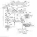 Fig. 01 - Adaptive estimation of gain and revenue