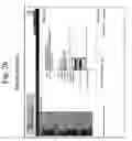 Fig. 27 - Mandatory access control base