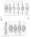 Fig. 12 - Dynamic auditing
