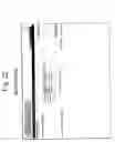 Fig. 23 - Data vault