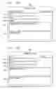Fig. 12 - Technique for providing a personalized electronic messaging service through an information assistance provider