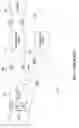 Fig. 02 - Connection forwarding