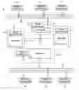 Fig. 01 - Method and apparatus for dual-mode internet protocol station/gateway