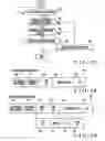 Fig. 32 - User MAC frame transfer method edge transfer device, and program