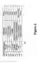 Fig. 04 - Preallocation of client network address translation addresses for client-server networks