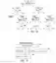 Fig. 05 - Use of modular roots to perform authentication including, but not limited to, authentication of validity of digital certificates