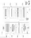 Fig. 26 - XML application framework