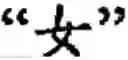 Fig. 231 - Input method for optimizing digitize operation code for the world characters information and information processing system thereof