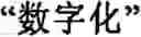 Fig. 263 - Input method for optimizing digitize operation code for the world characters information and information processing system thereof