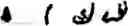 Fig. 340 - Input method for optimizing digitize operation code for the world characters information and information processing system thereof