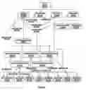Fig. 01 - Porting of information technology structures