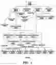 Fig. 02 - Porting of information technology structures