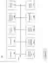 Fig. 13 - Calls and return calls using client interfaces