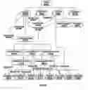 Fig. 01 - Adapting information technology structures to maintain service levels
