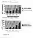 Fig. 17 - SYSTEM AND METHOD FOR LIMITING DISCLOSURE IN HIPPOCRATIC DATABASES