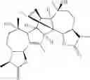 Fig. 08 - Method for the identification of antagonists of a phenylthiocarbamide/bitter taste receptor