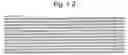 Fig. 03 - Method of plastid transformation in , vector for use therein and plants thus obtained