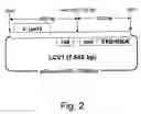 Fig. 04 - Method of plastid transformation in , vector for use therein and plants thus obtained