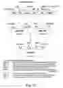 Fig. 33 - Method of plastid transformation in , vector for use therein and plants thus obtained