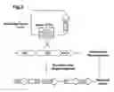 Fig. 04 - Method of targeted gene disruption, genome of hyperthermostable bacterium and genome chip using the same