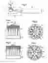 Fig. 02 - Brush part for electric toothbrush