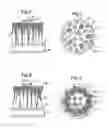 Fig. 03 - Brush part for electric toothbrush