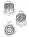 Fig. 05 - Brush part for electric toothbrush